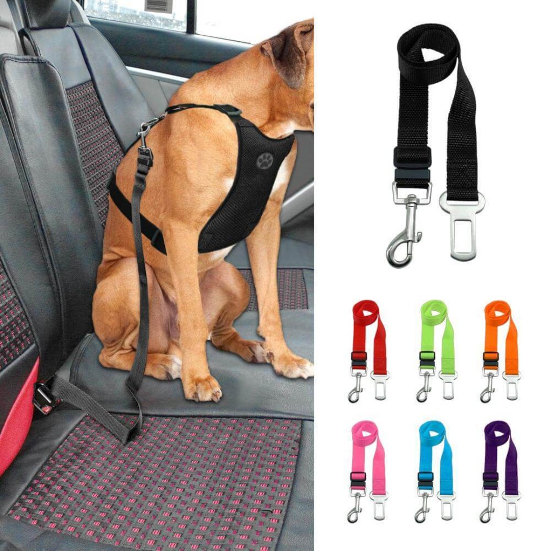 Pet Car Harness Seatbelt Adjustable - HappyKidMart