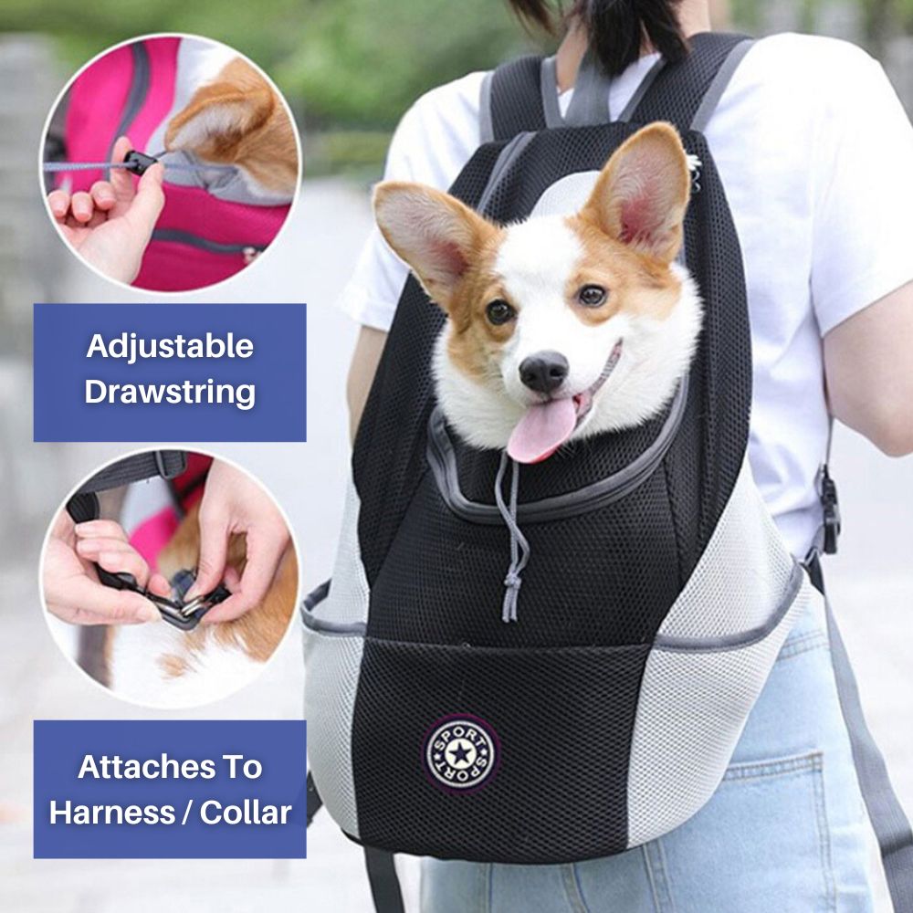Breathable Pet Carrier Backpack For Small Dogs - HappyKidMart
