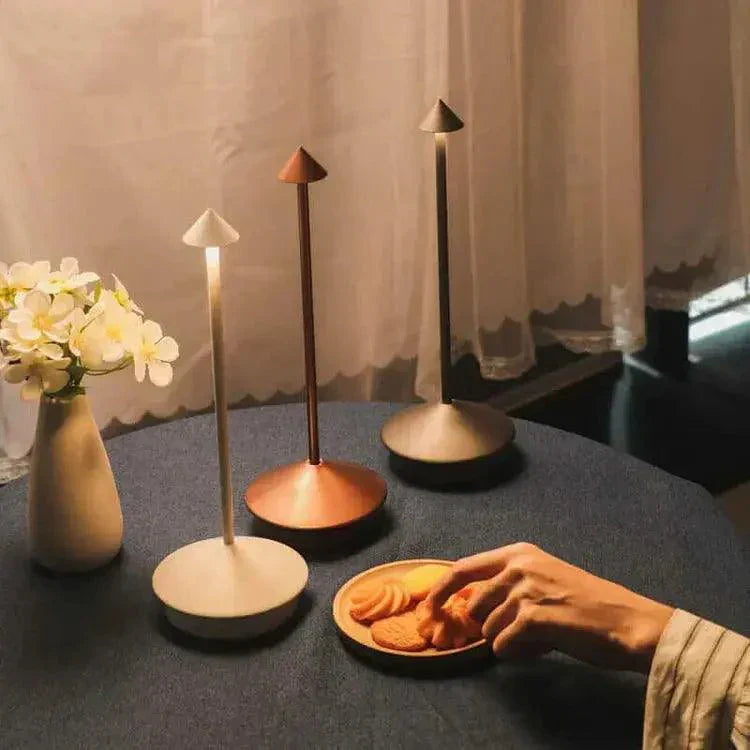 Stylish Portable LED Desk Lamp