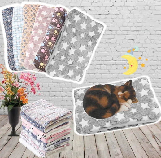 Cozy Pet Throw Blanket | Plush Star Print Design - HappyKidMart