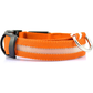 Glowing Rechargeable Pet Night Collar
