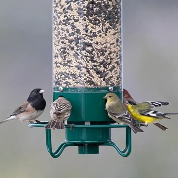 Wild Bird Feeder with Squirrel Guard - HappyKidMart