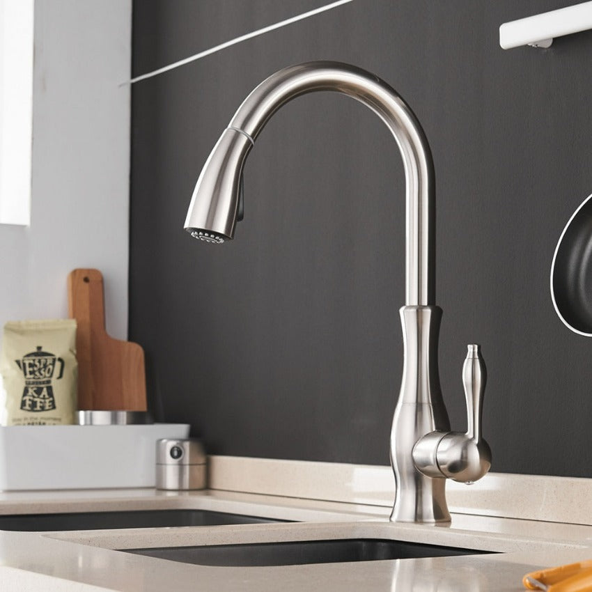 Contemporary Slide-Out Kitchen Faucet Stainless Steel Finish
