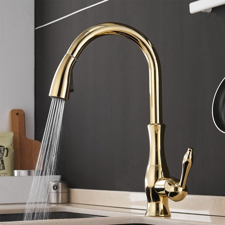 Contemporary Slide-Out Kitchen Faucet Stainless Steel Finish