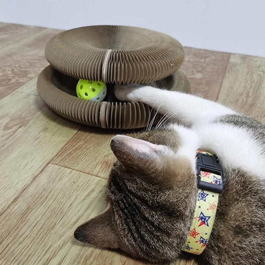 Fun Cat Scratching Post | Collapsible Play Ring Toy - HappyKidMart