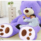 Large Plush Teddy Bear