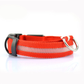 Glowing Rechargeable Pet Night Collar