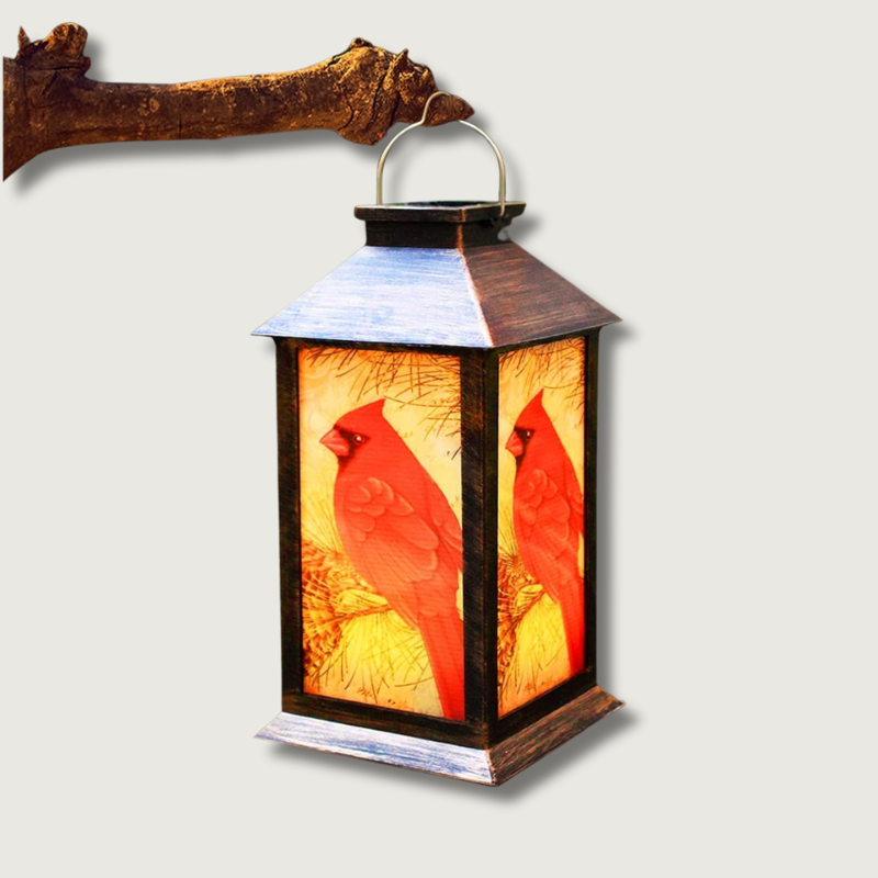 Colorful Outdoor Solar Powered Bird Lamp - HappyKidMart