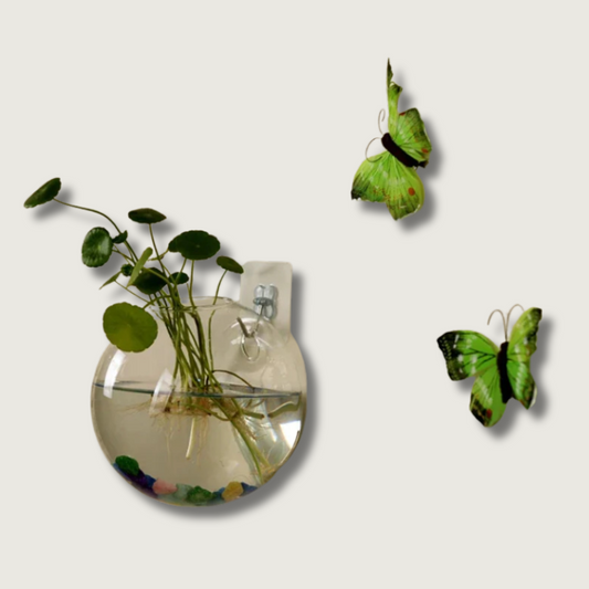 Hanging Glass Planter | Self Watering Flower Holder - HappyKidMart