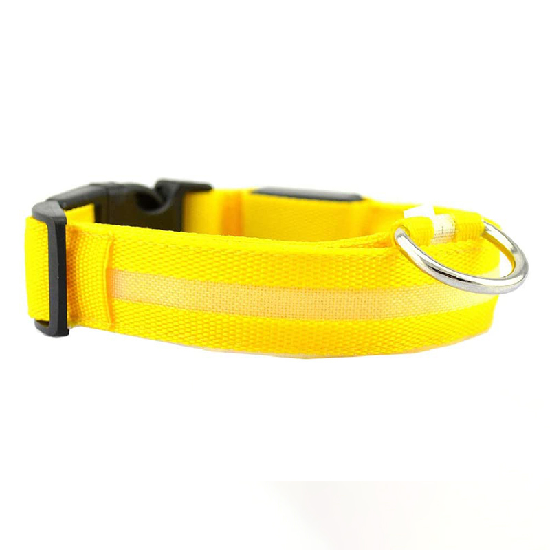 Glowing Rechargeable Pet Night Collar
